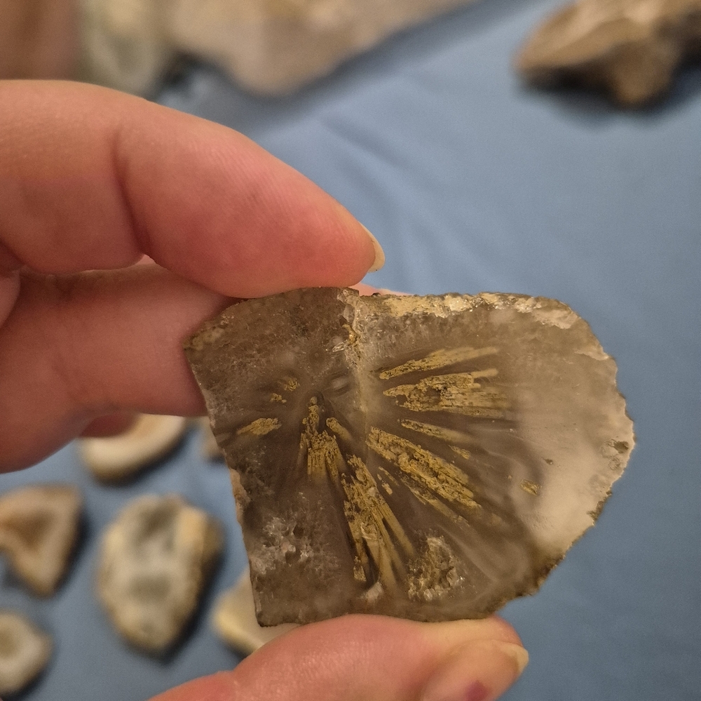 Hand Cut Agate Geode - Picture 5 of 5